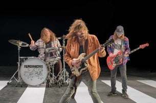 The Lemonheads