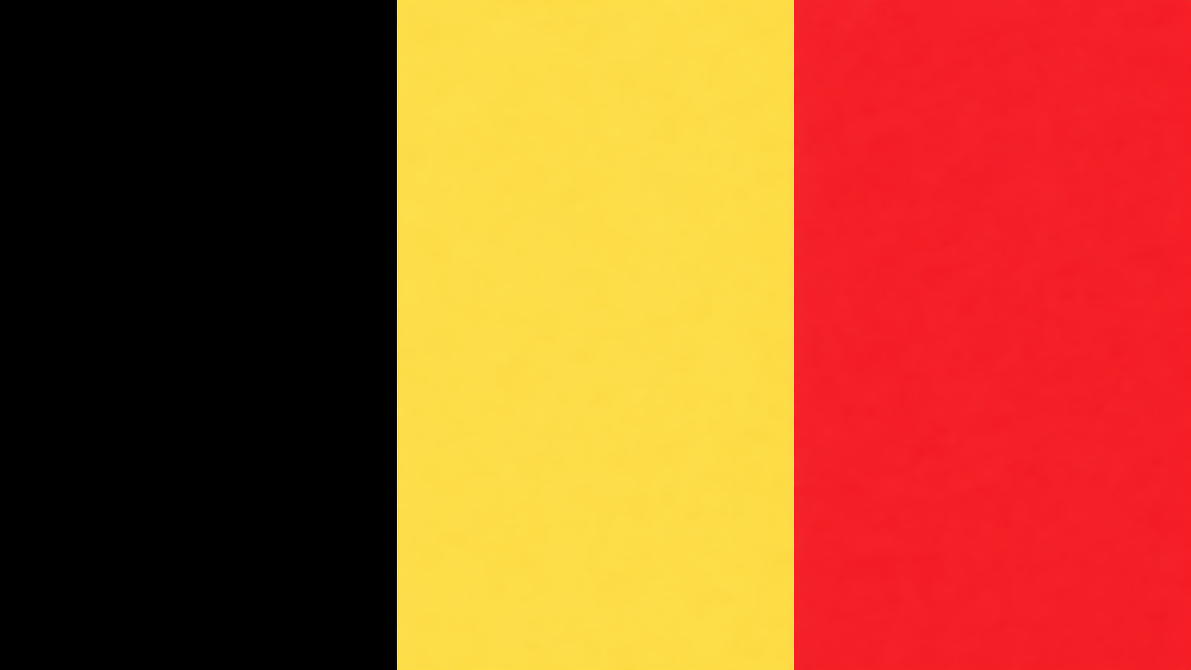 Belgium National Football Team
