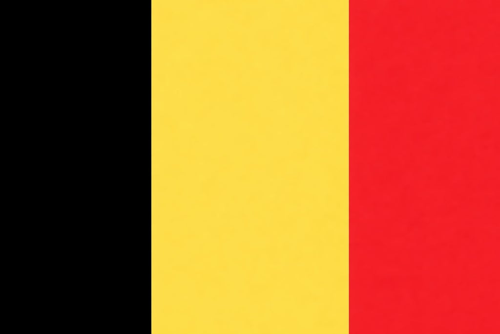 Belgium National Football Team