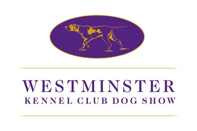 151st Westminster Kennel Club Dog Show - Tuesday Night Only in New York promotional photo for Verizon Access Featured Venues presale tickets offer