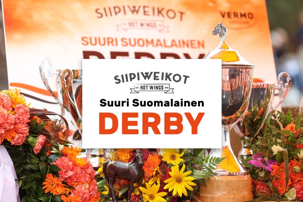 Siipiweikot Suuri Suomalainen Derby la 15.8
