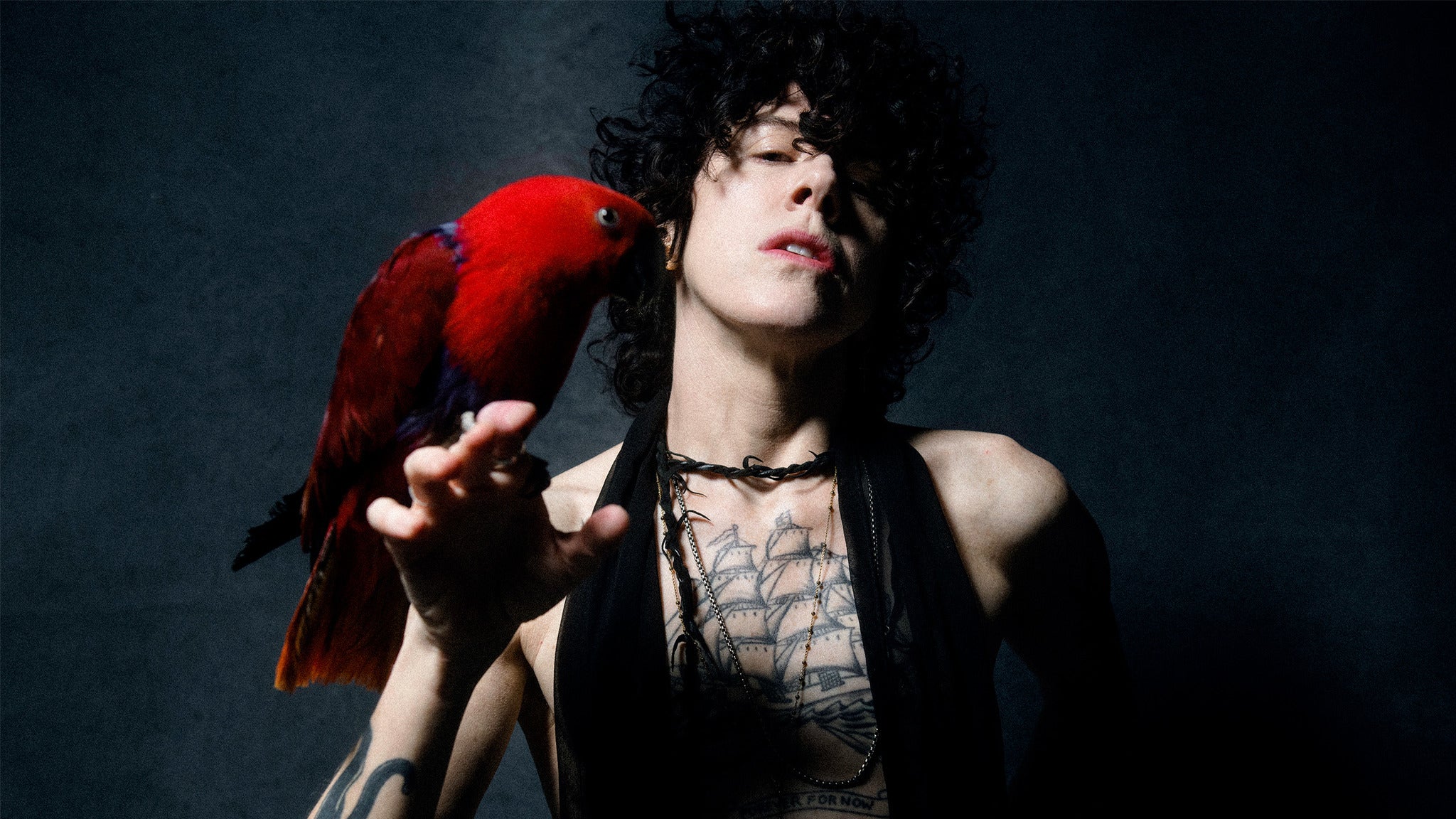 LP in Toronto promo photo for Live Nation presale offer code