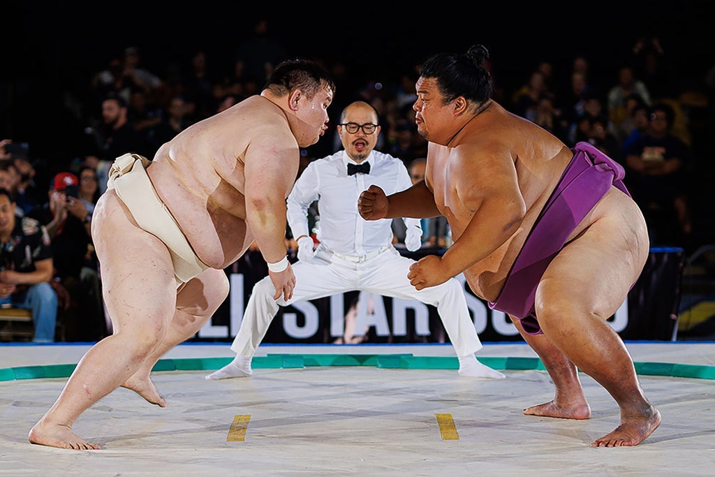 All Star Sumo