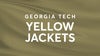 Georgia Tech Yellow Jackets Baseball vs. Old Dominion Monarchs Baseball