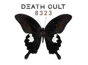 The Cult, 2024-07-30, Варшава