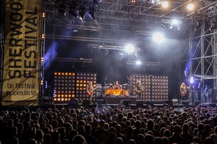 Subsonica - Terre Rare 96 - 26 | Sherwood Festival