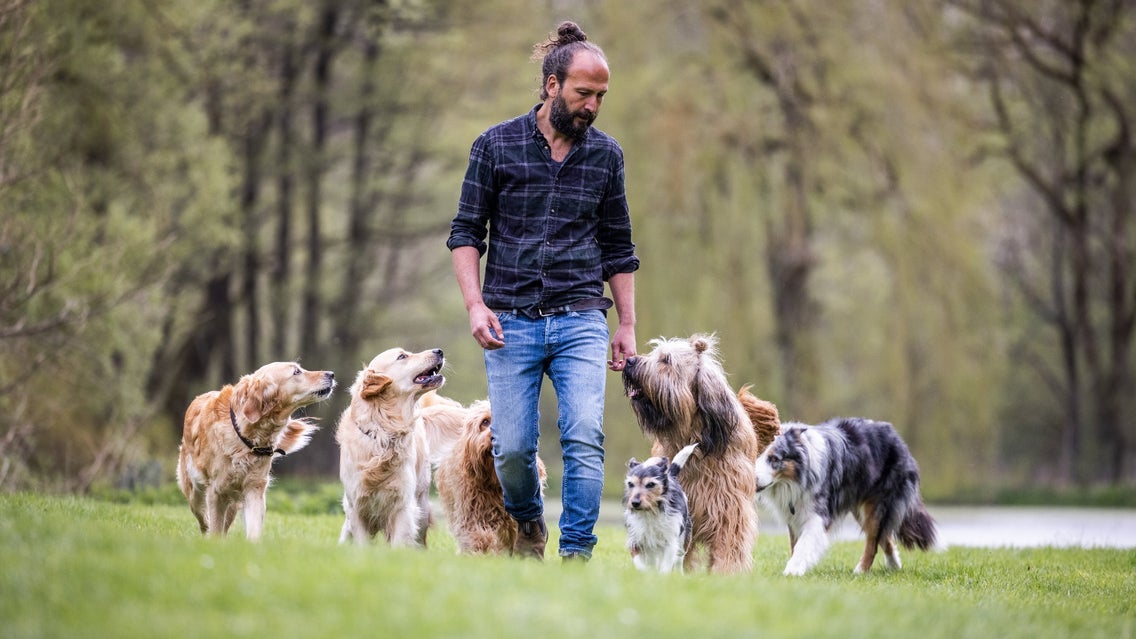 Sami El Ayachi - Der zugewandte Hund! event image