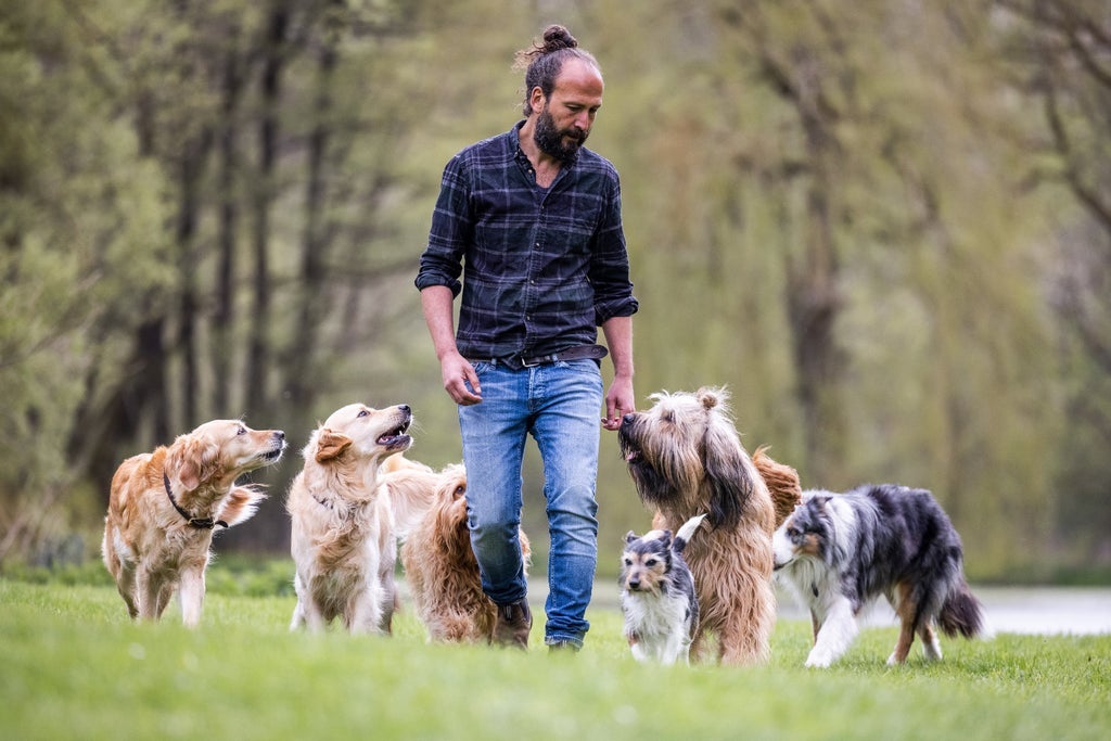 Sami El Ayachi - Der zugewandte Hund!