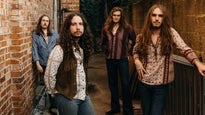 The Band Feel