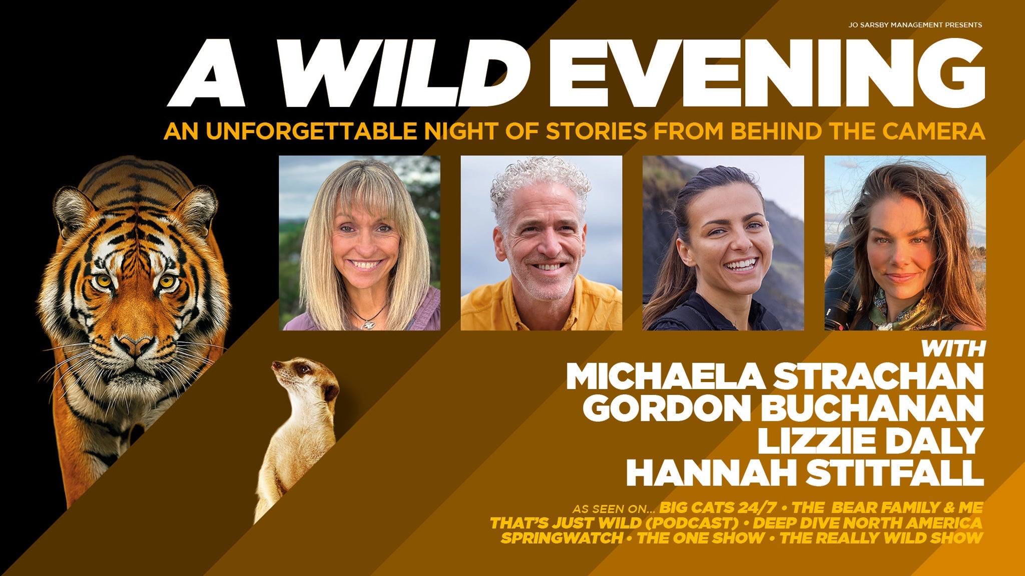 A Wild Evening