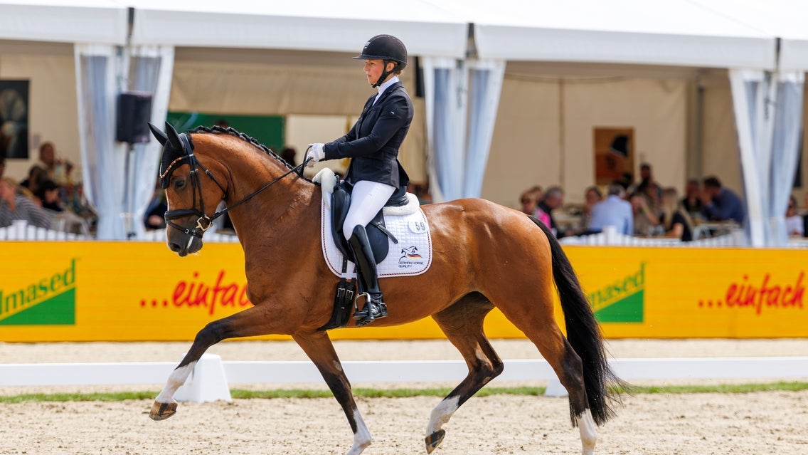 Dressage World Breeding Championship for Young Horses 2026, WED 05.08.