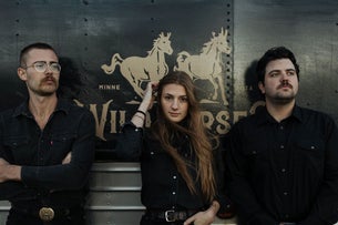 Wild Horses