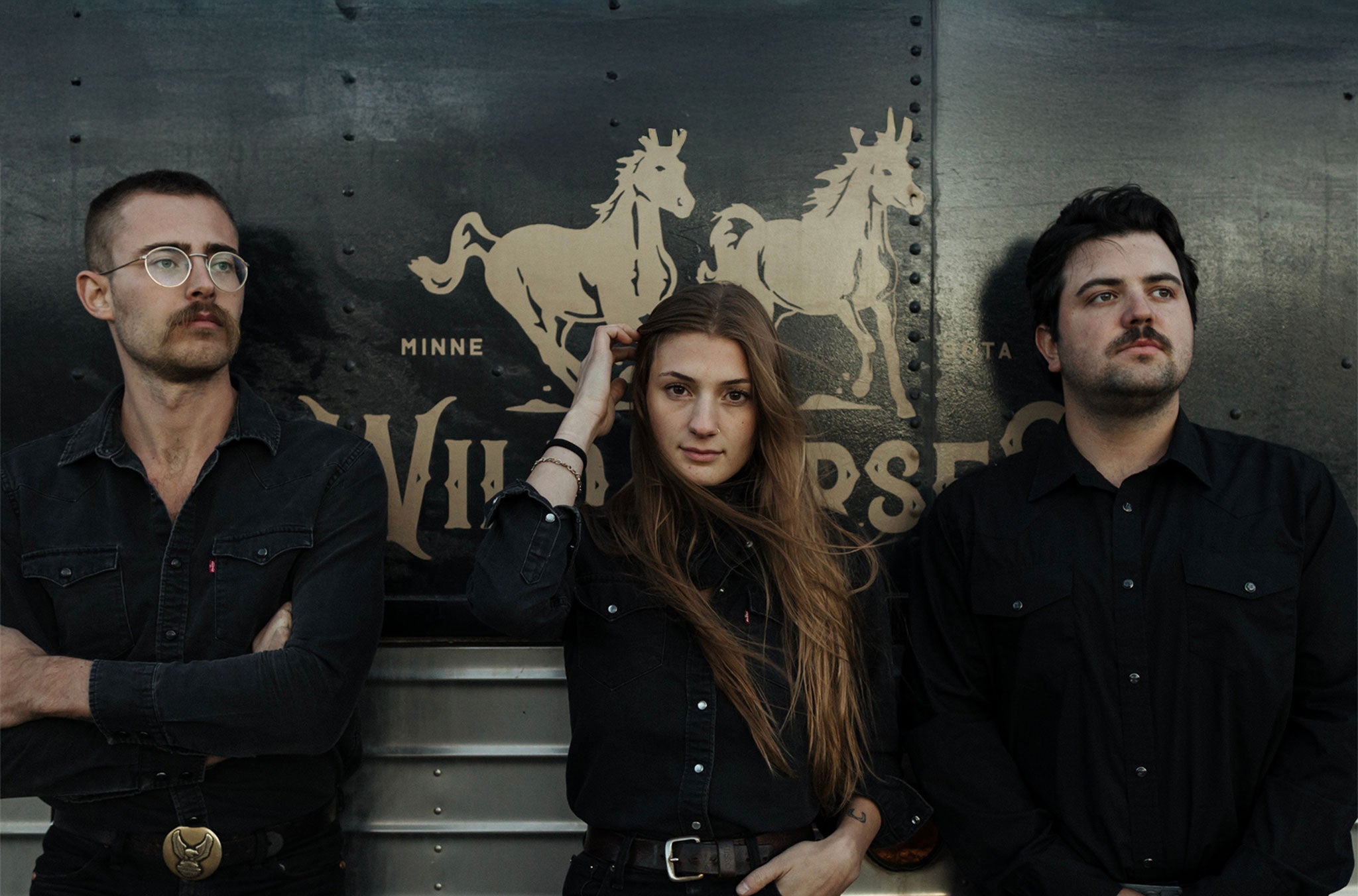 Wild Horses