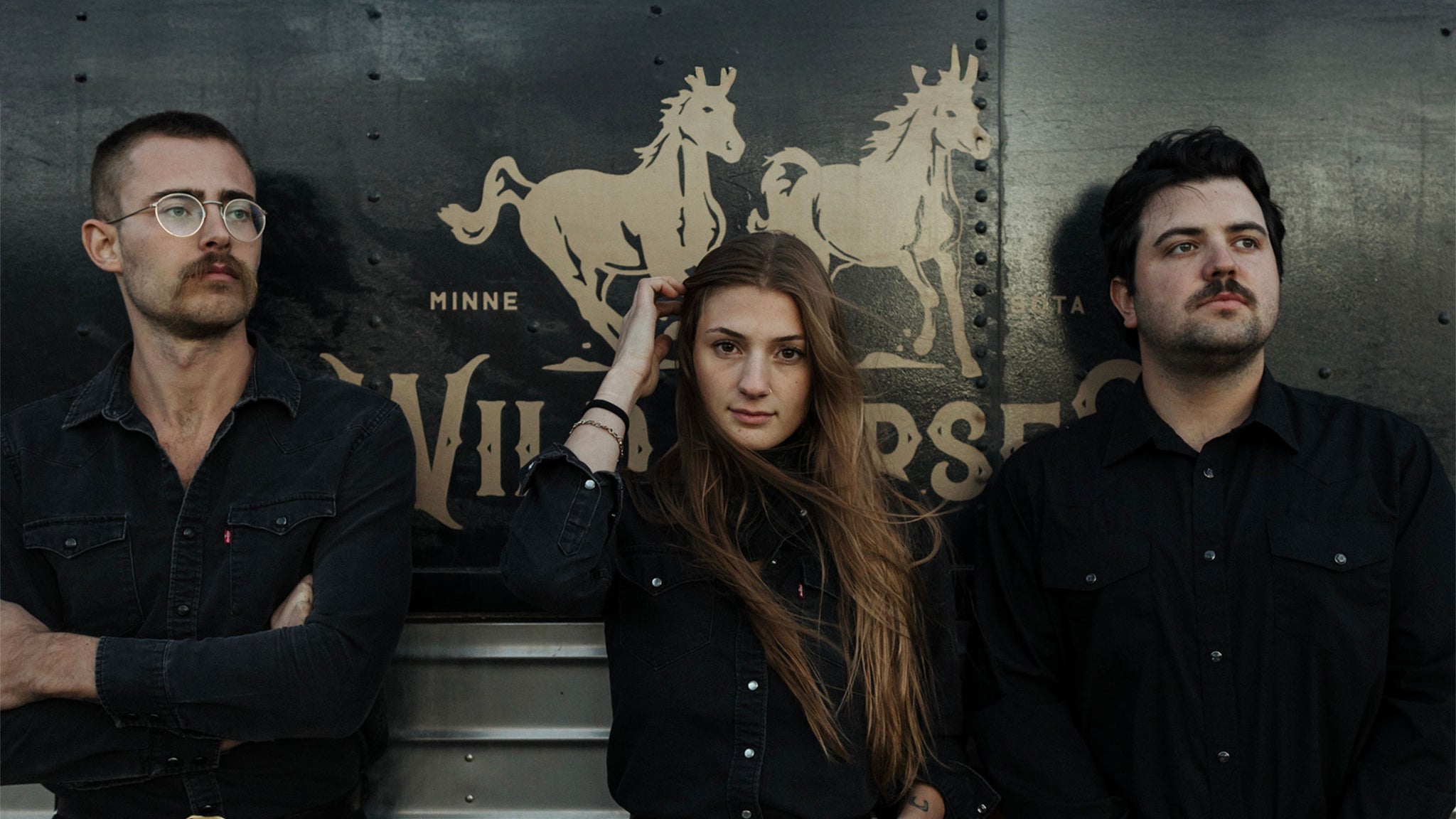 Wild Horses