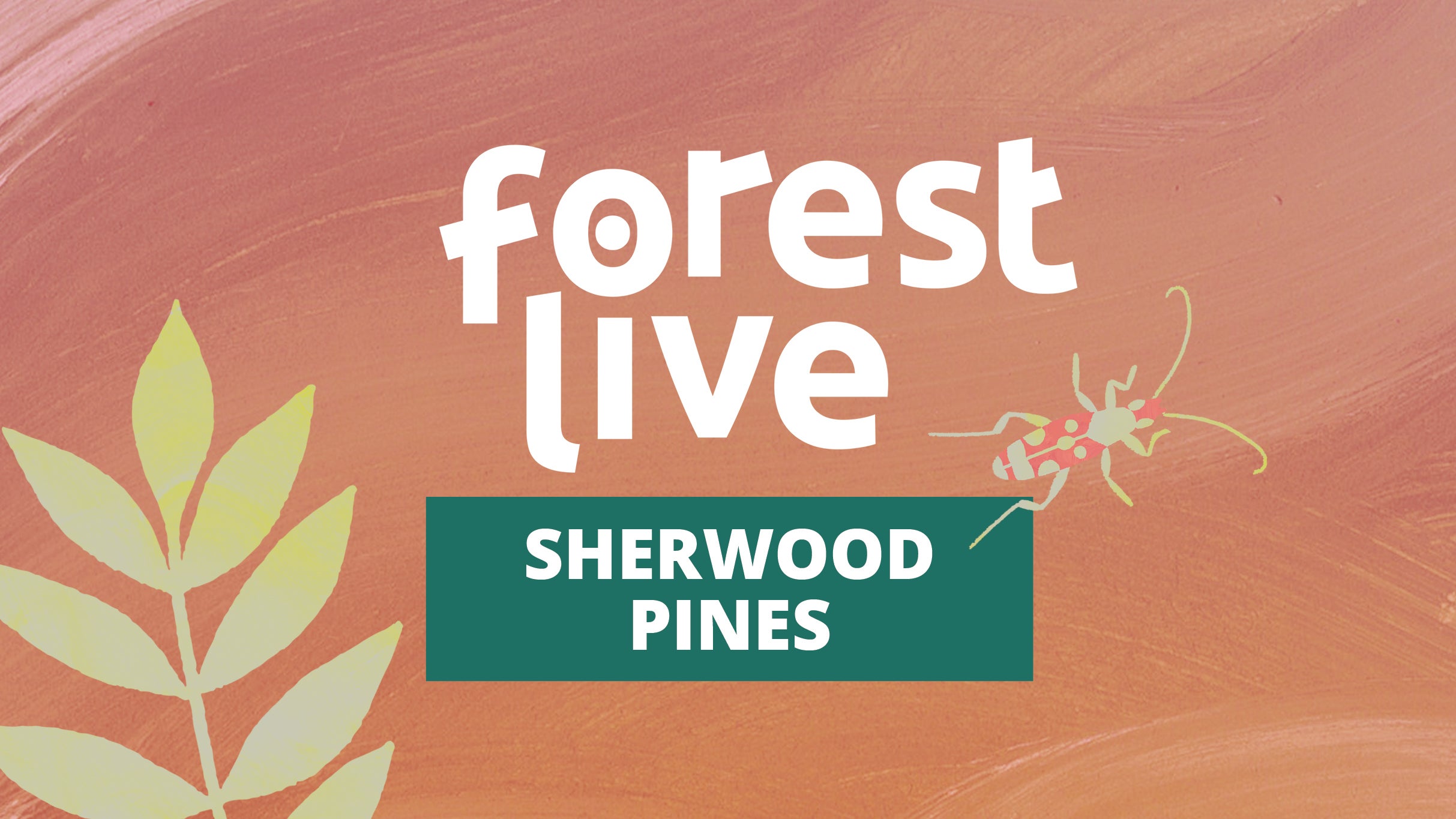 Sherwood Pines presale information on freepresalepasswords.com