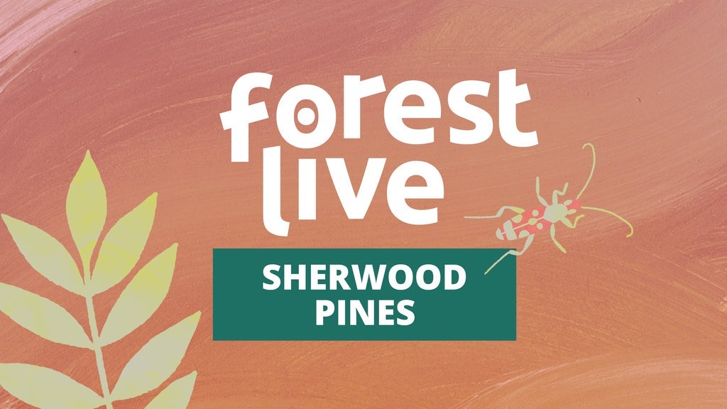 Hotels near Sherwood Pines Events