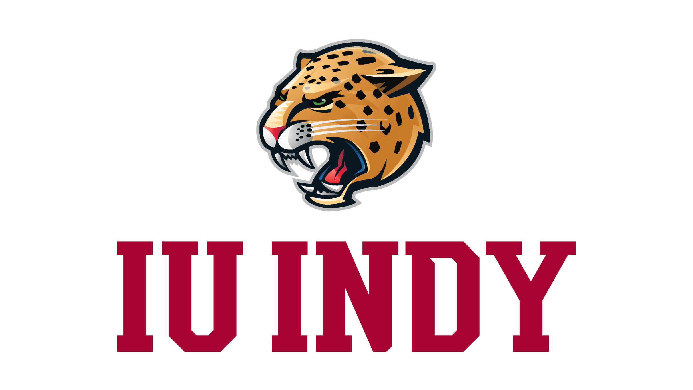 IU Indianapolis Jaguars Men's Soccer vs. Northwestern Men's Soccer