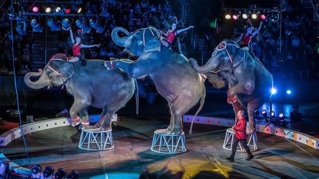 ISIS Shrine Circus