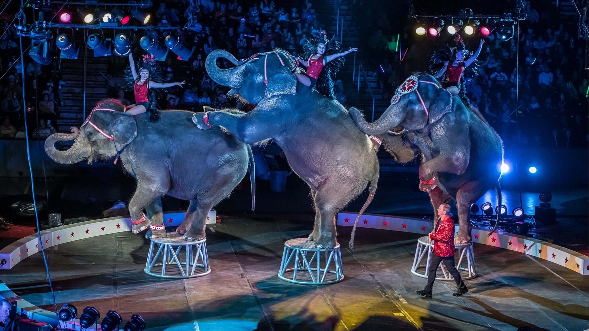 ISIS Shrine Circus at Tony’s Pizza Events Center – Salina, KS