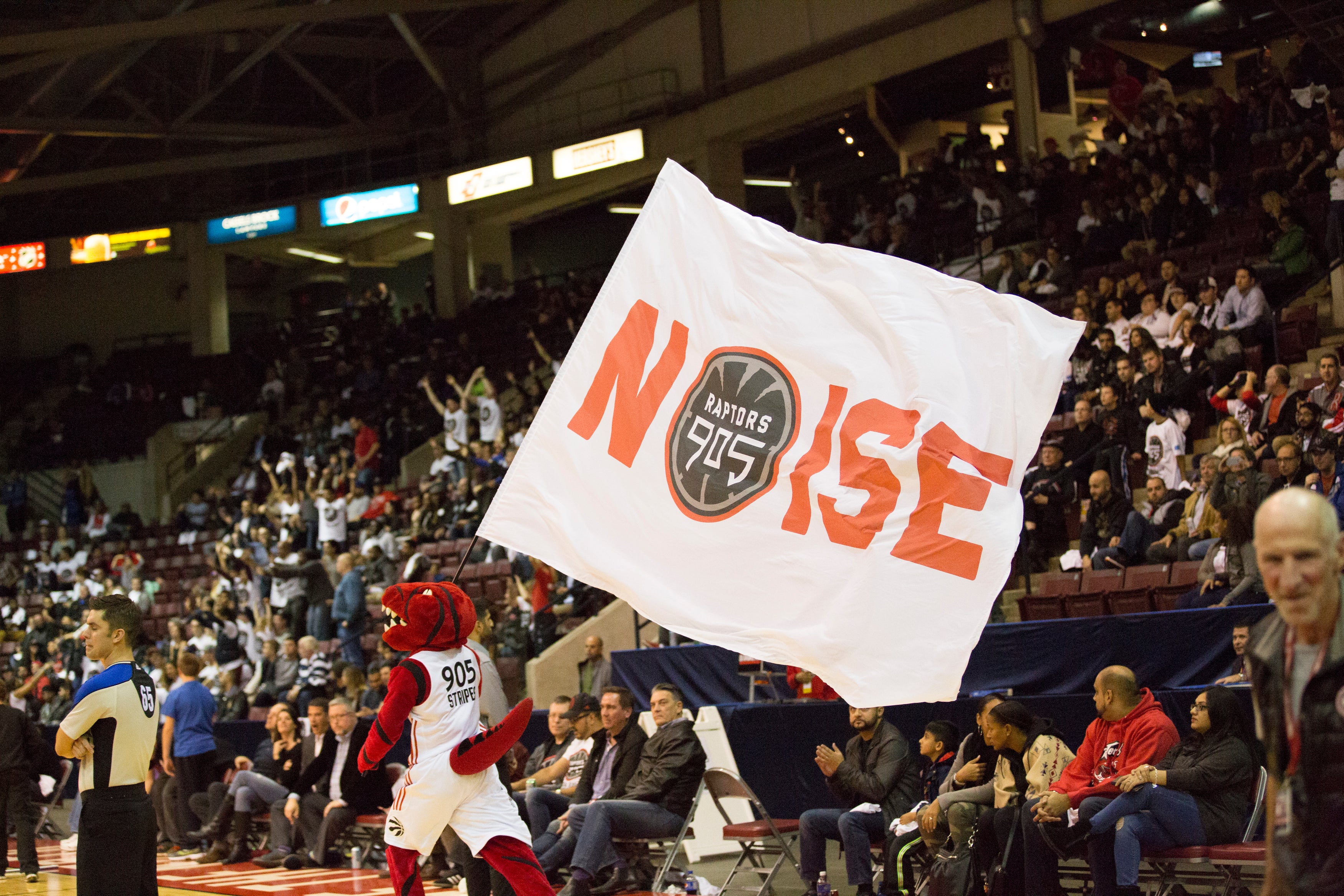 Raptors 905 vs Westchester Knicks in Mississauga promo photo for Exclusive presale offer code