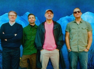 The Beta Band