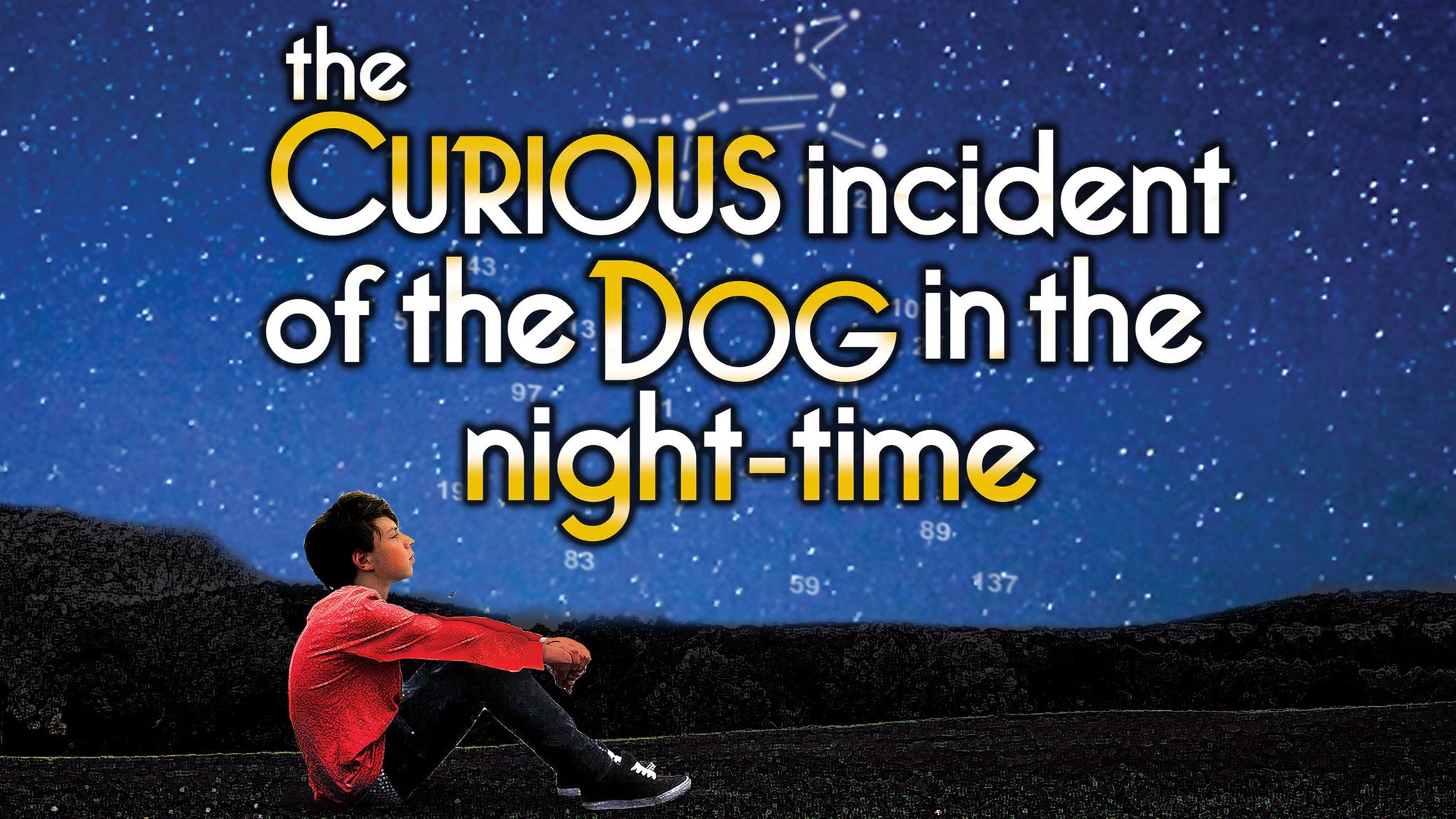 Image result for the curious incident of the dog in the nighttime walnut street theater