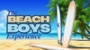 Beach Boys Inc