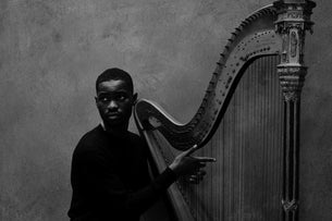 Dave - the Boy Who Played the Harp Tour Seating Plans