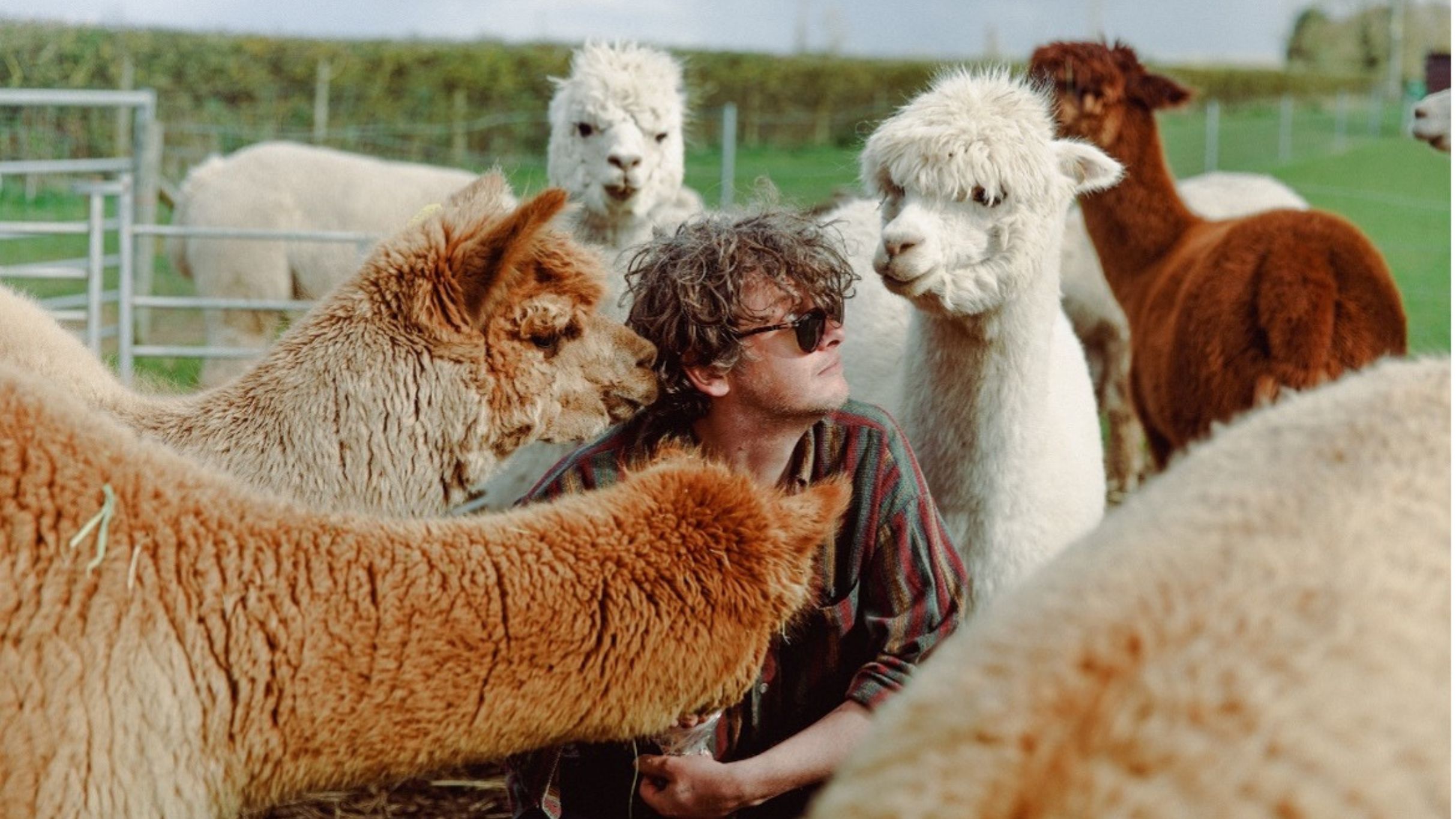 Bill Ryder-Jones + Gruff Rhys