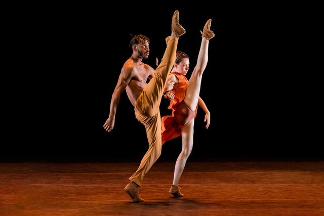 Presales to sao paulo dance company: members use these when buying pre-sale tickets