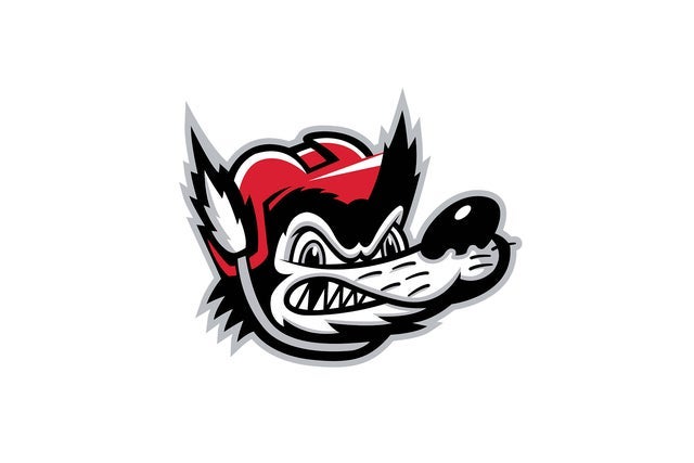 Ticket Reselling Huntsville Havoc vs. Birmingham Bulls