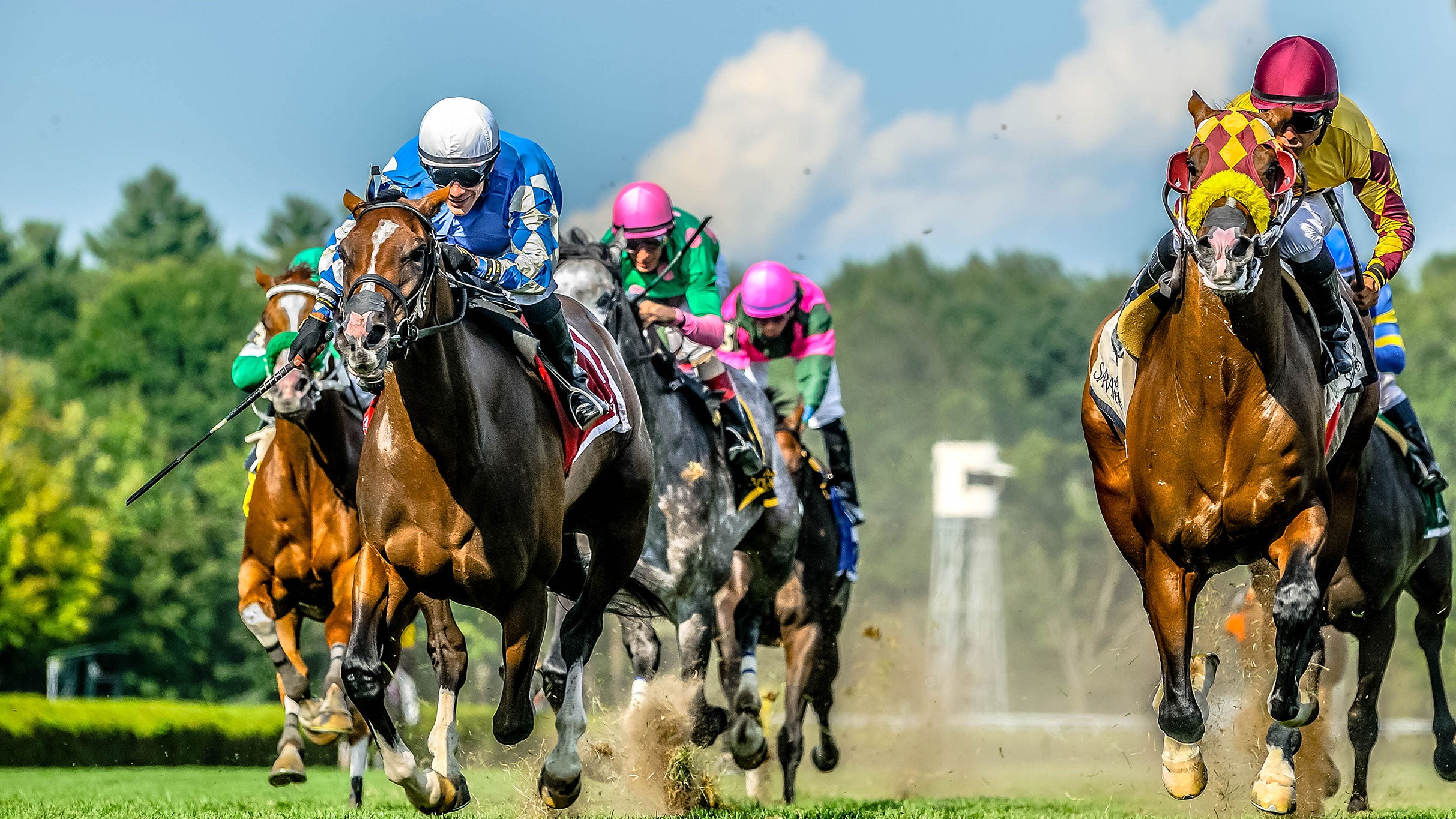 Saratoga Race Course Pick Six Picnic Paddock at Saratoga Race Course – Saratoga Springs, NY