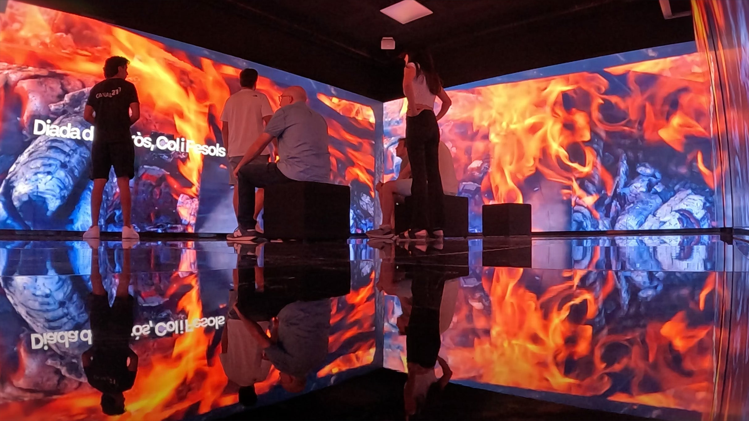 LLUM I TERRITORI · Una experiència immersiva