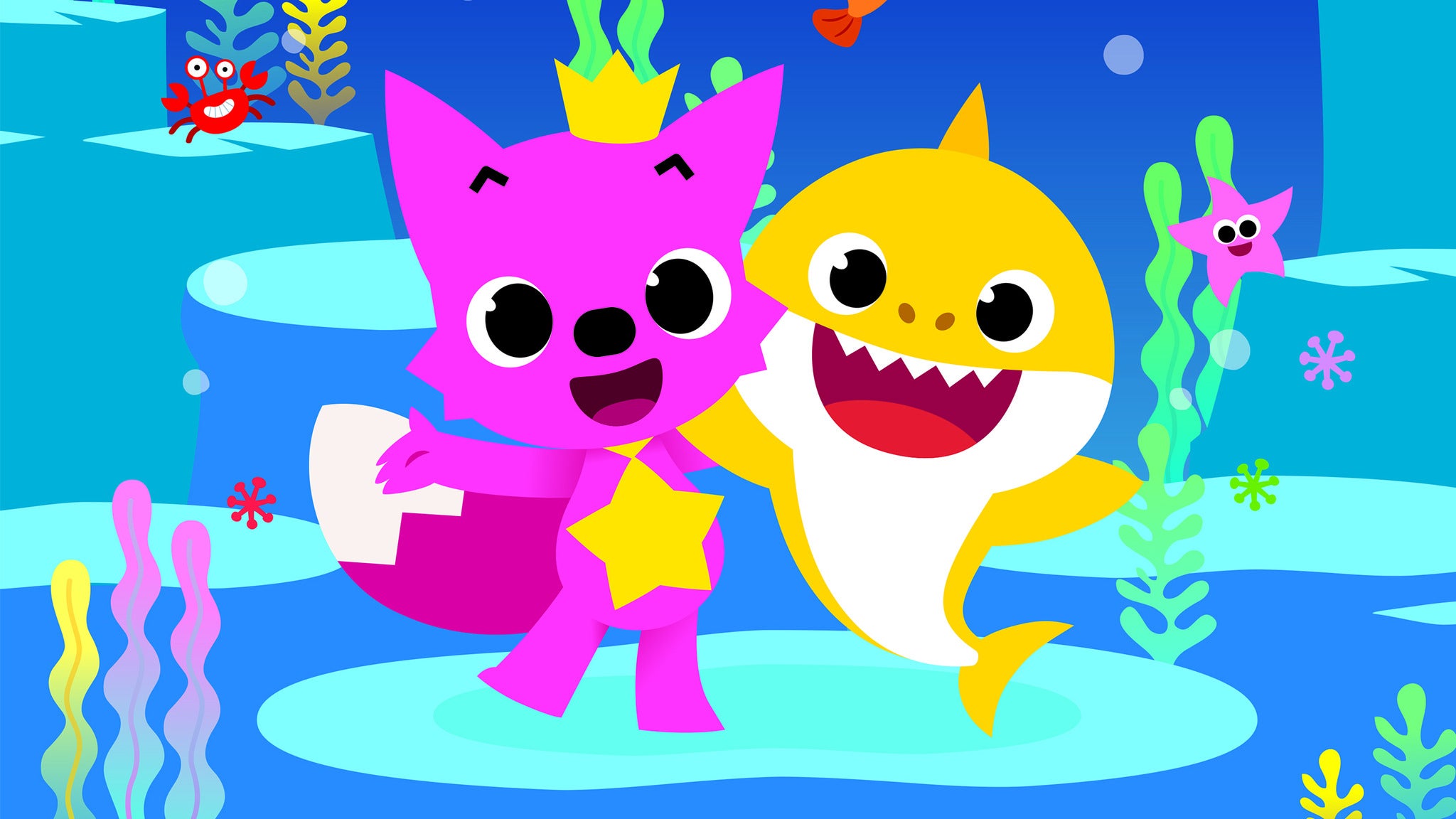 Baby shark. Акулёнок PINKFONG. Беби Шарк. PINKFONG герои. Пинкфонг акула.