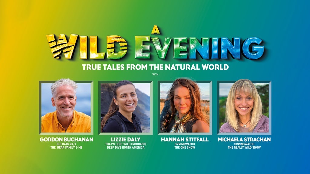 Hotels near A Wild Evening Events