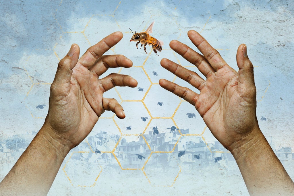 The Beekeeper of Aleppo in Mexico