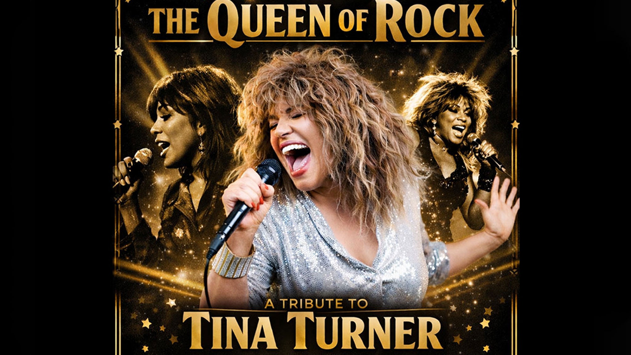THE QUEEN OF THE ROCK TRIBUTE TINA TURNER concert image