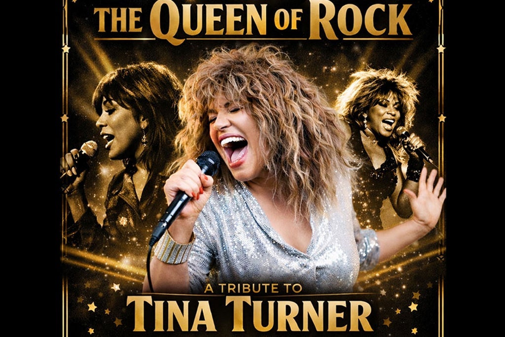 THE QUEEN OF THE ROCK TRIBUTE TINA TURNER