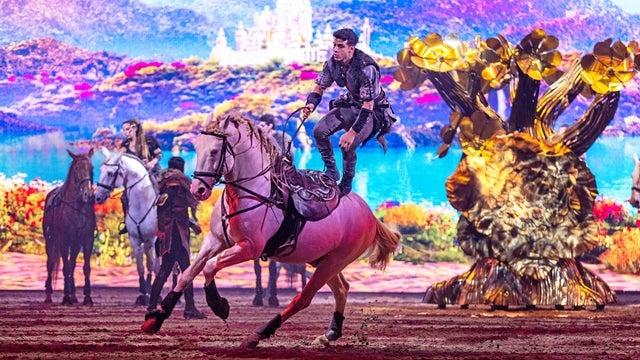 Cavalluna | Box seat in the Ticketmaster Suite