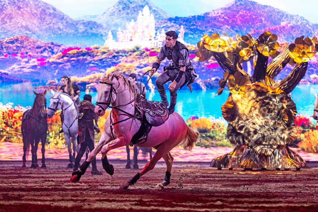 CAVALLUNA - Die Farben des Lebens show poster