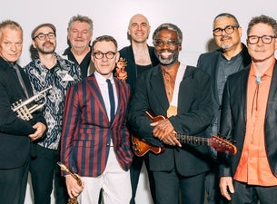 New Cool Collective