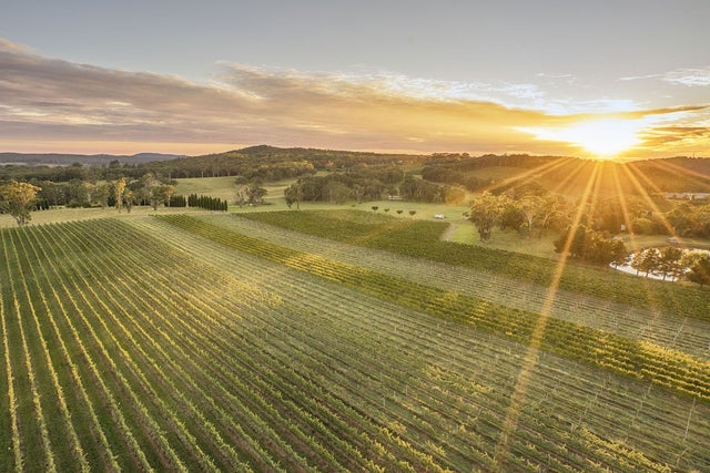 Horizontal Festival in Bowral promotional photo for Exclusive presale tickets offer