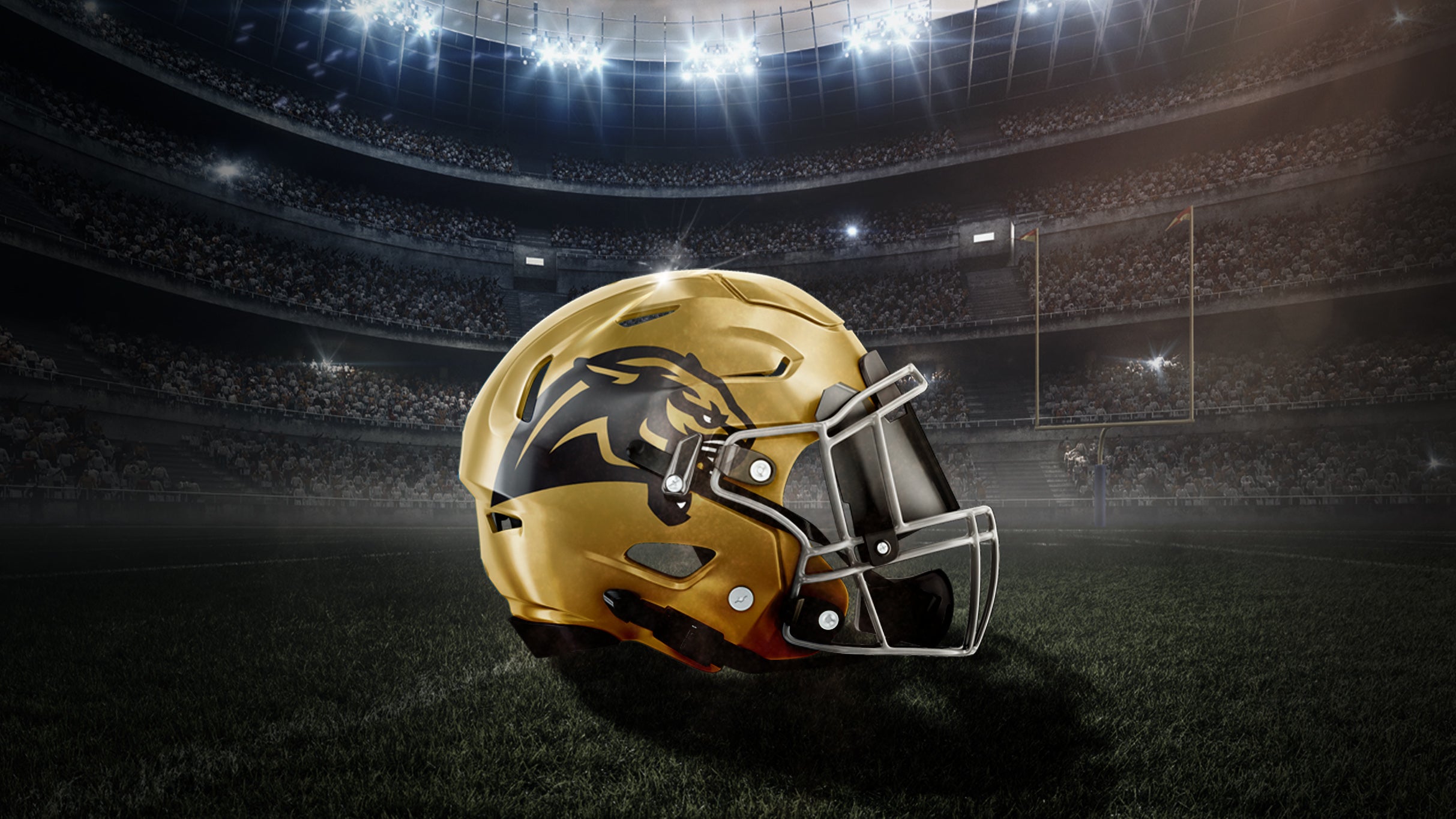 Bay Area Panthers vs. Arizona Rattlers