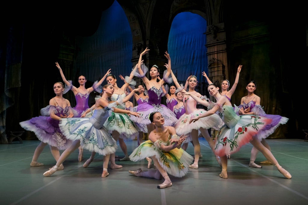 Sleeping Beauty - International Festival Ballet & Festival Orchestra show poster