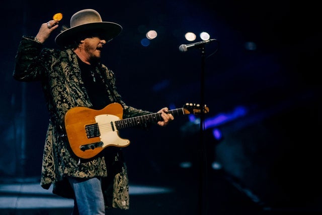 Presale codes for zucchero: members use these when buying pre-sale tickets