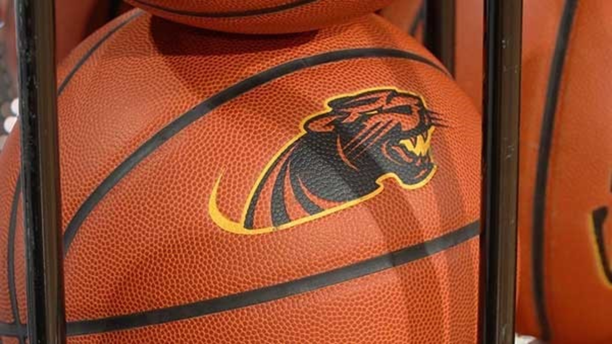 Milwaukee Panthers Women's Basketball