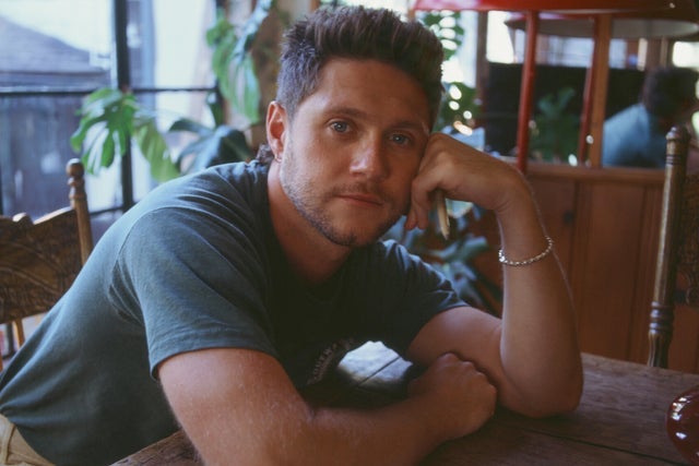 Presales to niall horan: dinner party live on tour: members use these when buying pre-sale tickets