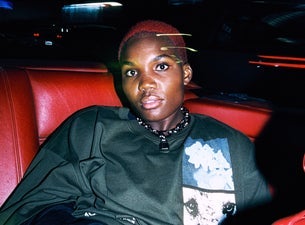 ARLO PARKS - DESIRE TOUR Seating Plans