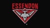 Essendon v Brisbane Lions - 2025 NAB AFLW Season 10 - Event poster