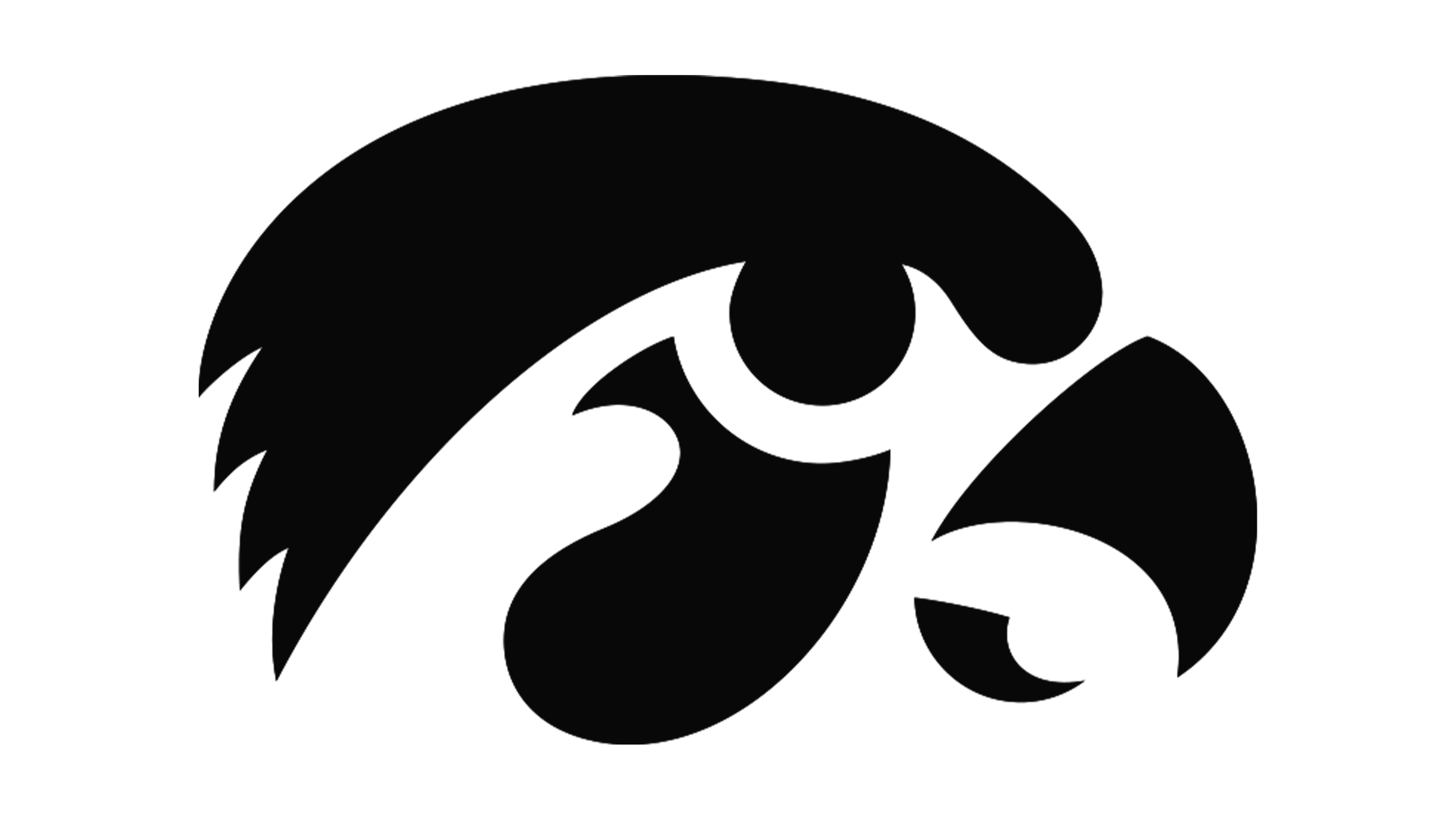 Iowa Hawkeyes Men's Basketball